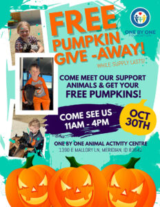 Free Pumpkin Give-away @ One By One Animal Activity Centre